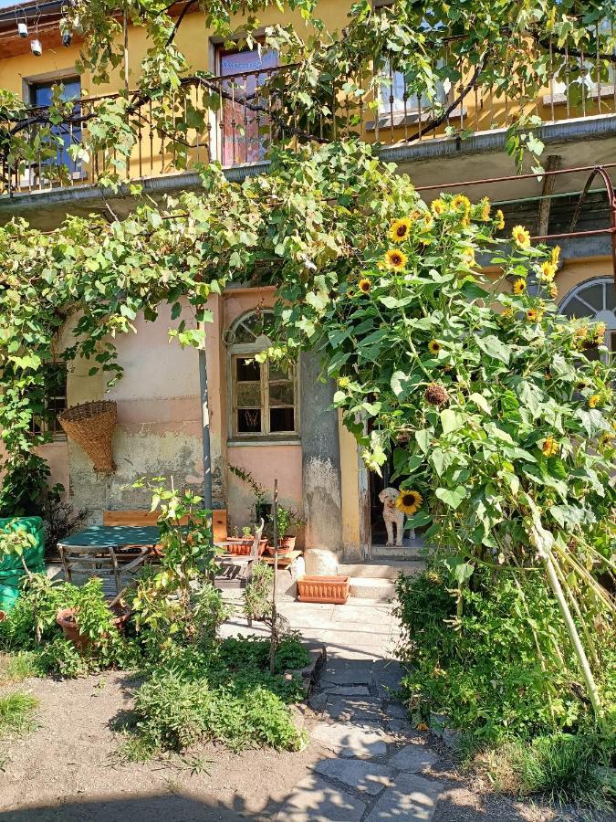 La Capinera Bed & Breakfast Muggio Exterior photo